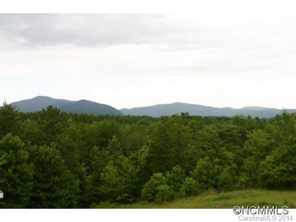 1298 Grassy Knob Road - Photo 2