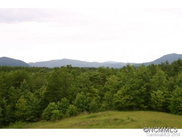 1298 Grassy Knob Road - Photo 18