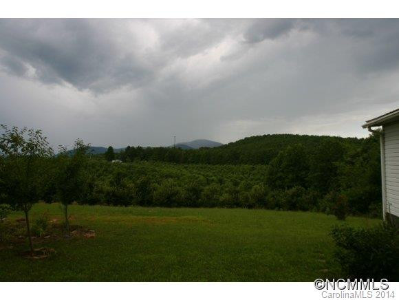 1298 Grassy Knob Road - Photo 4
