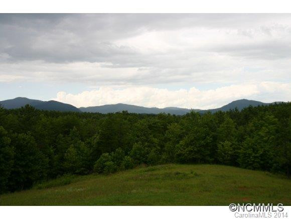 1298 Grassy Knob Road - Photo 6