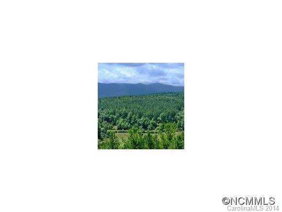 220 Serenity Mountain Road - Photo 7