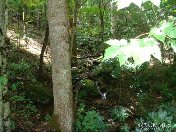 127 Frost Ridge Rd - Photo 3