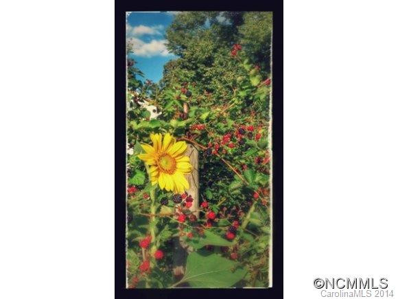 9 Sunset - Photo 14