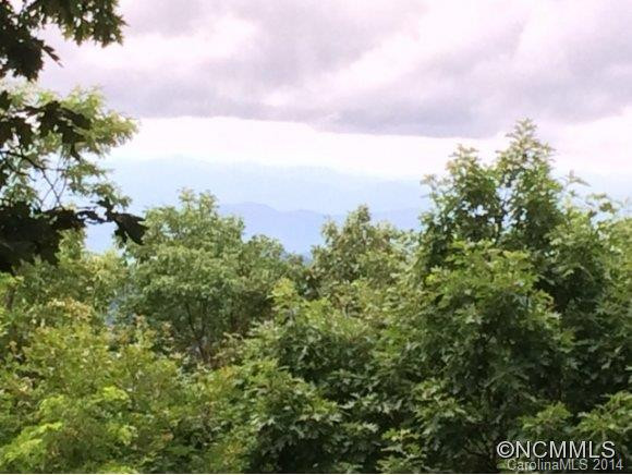 342 Granny Lewis Ln(lots1013/1014) - Photo 2