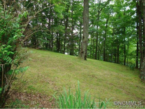 342 Granny Lewis Ln(lots1013/1014) - Photo 20