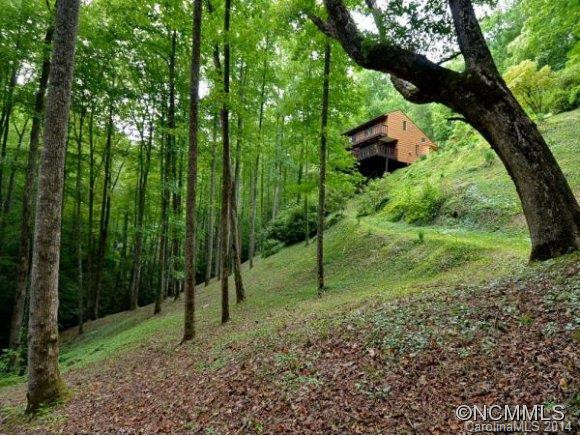 3783 CULLOWHEE MOUNTAIN ROAD - Photo 2