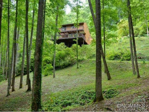 3783 CULLOWHEE MOUNTAIN ROAD - Photo 3