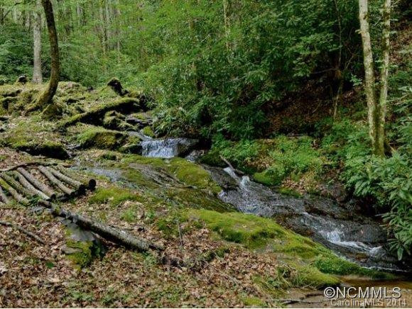 3783 CULLOWHEE MOUNTAIN ROAD - Photo 4