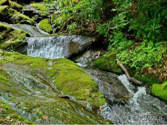3783 CULLOWHEE MOUNTAIN ROAD - Photo 5