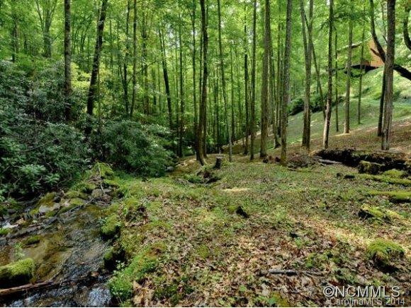 3783 CULLOWHEE MOUNTAIN ROAD - Photo 6