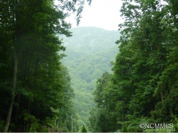 455 Chimney Log Rd - Photo 4