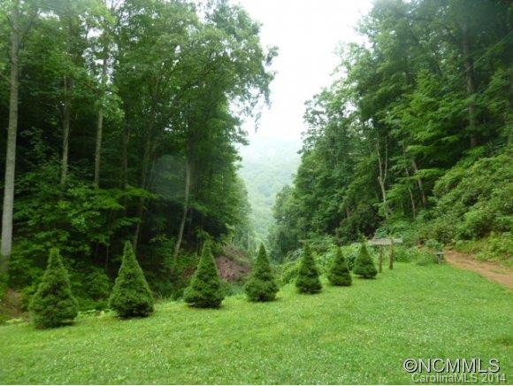 455 Chimney Log Rd - Photo 5