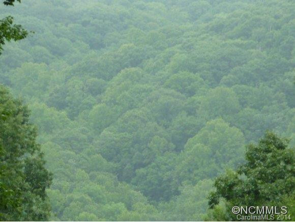 455 Chimney Log Rd - Photo 6