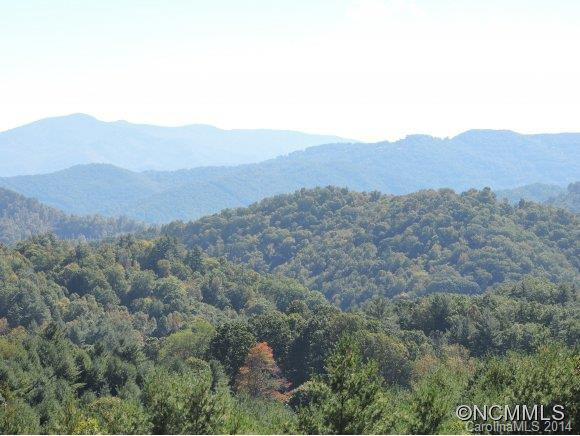 583 JR PATE RD - Photo 4