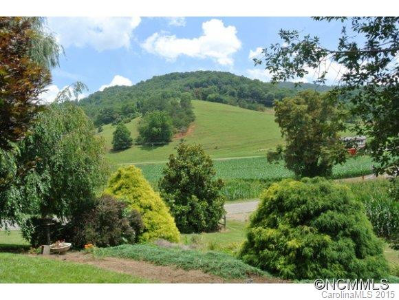 20 Brooks Branch Road - Photo 2