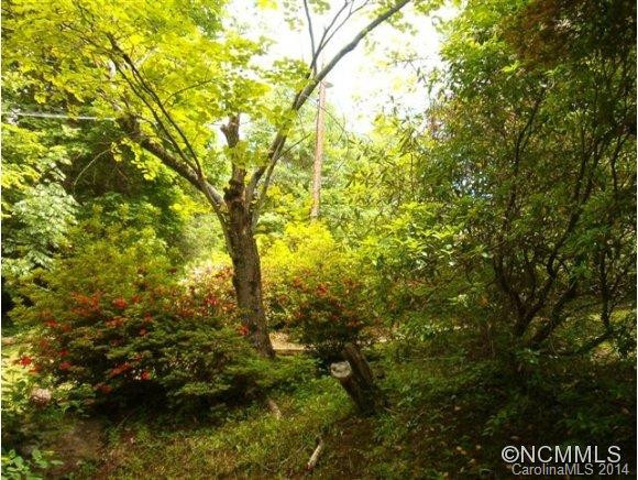 191 Bat Cave Drive - Photo 21