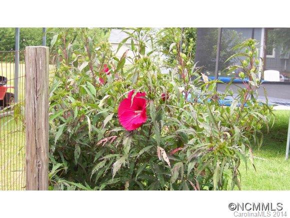 10 Poplar Street - Photo 19