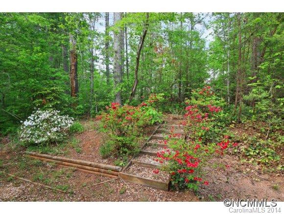 315 Carolina Pines Court - Photo 2