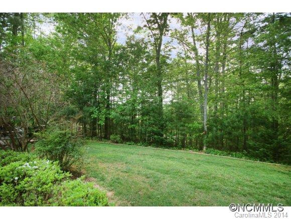 315 Carolina Pines Court - Photo 3