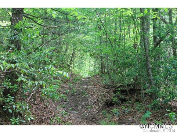 3257 Old CCC Road - Photo 11