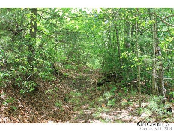 3257 Old CCC Road - Photo 10