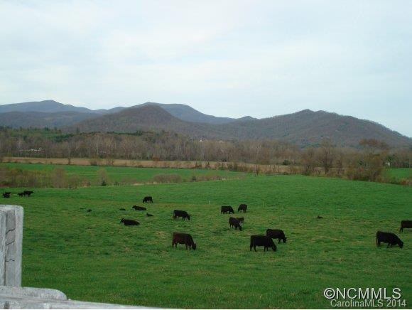 45 Craggy Vista Drive - Photo 23