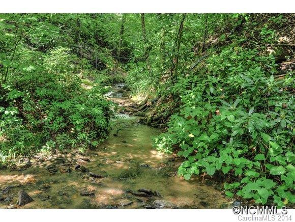1131 Laurel Branch Road - Photo 14