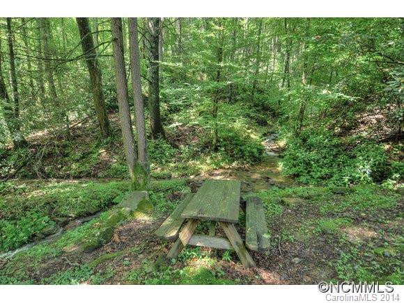 1131 Laurel Branch Road - Photo 19