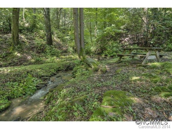 1131 Laurel Branch Road - Photo 3