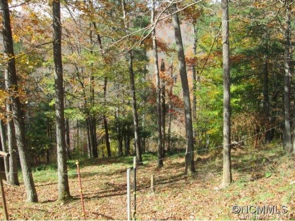 285 Wispy Willow Rd - Photo 5