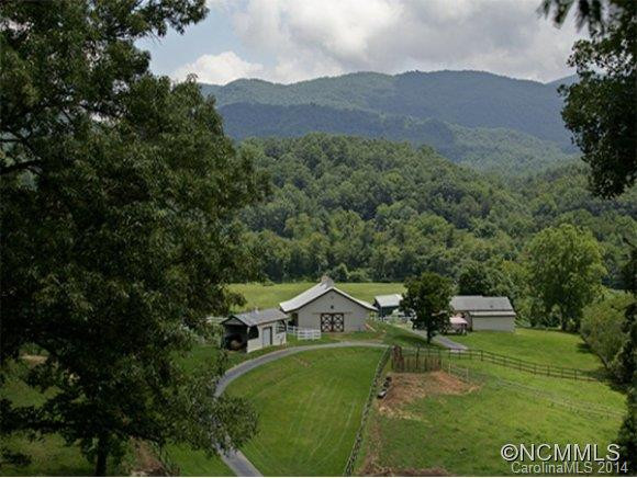 2139 CANE CREEK ROAD - Photo 16