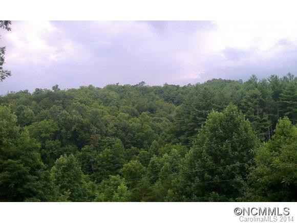 930 Troy Martin Road - Photo 15