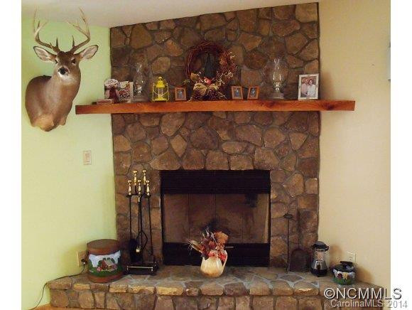 930 Troy Martin Road - Photo 9