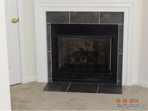 14 Cherry Laural Lane - Photo 4