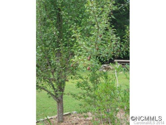 38 Meadow Drive - Photo 16