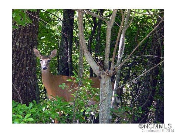 259 Dvdegi Ct - Photo 21