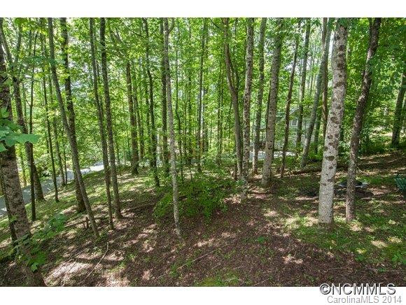 35 Black Bear Trail - Photo 8