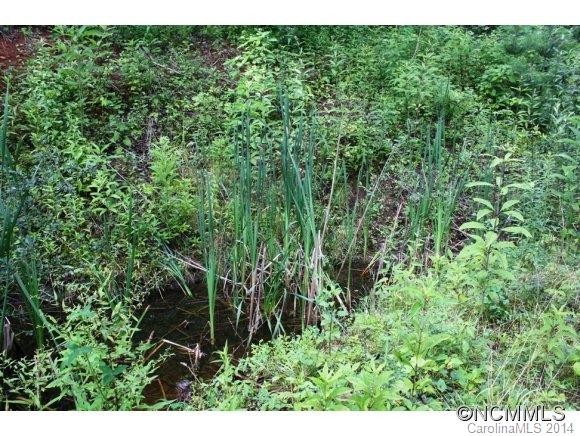 860 Thompson Rd - Photo 13