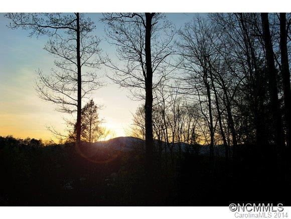 130 Wildwood Mountain Lane - Photo 2