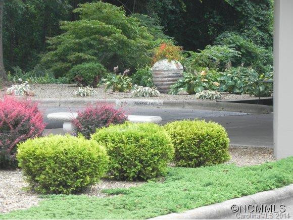 647 Town Mountain Road #205 - Photo 9