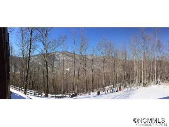 602 Blue Mist Way - Photo 19