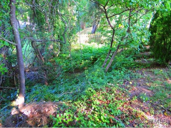 22 Mimosa Drive - Photo 3