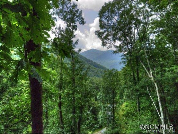 569 TAWODI Trail - Photo 2