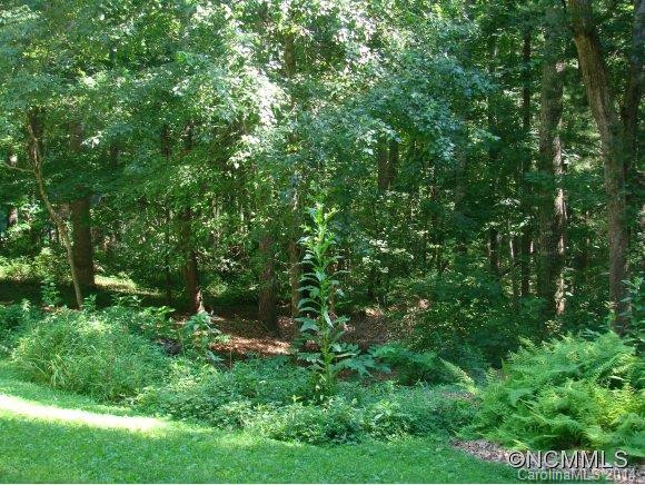 113 Joe Jenkins Road - Photo 13