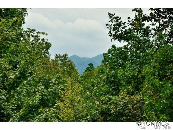 1227 Dills Cove Rd - Photo 7