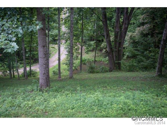 91 Davidson Gap Road - Photo 17