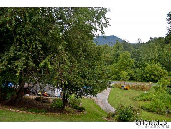 181 Cane Creek Road - Photo 19