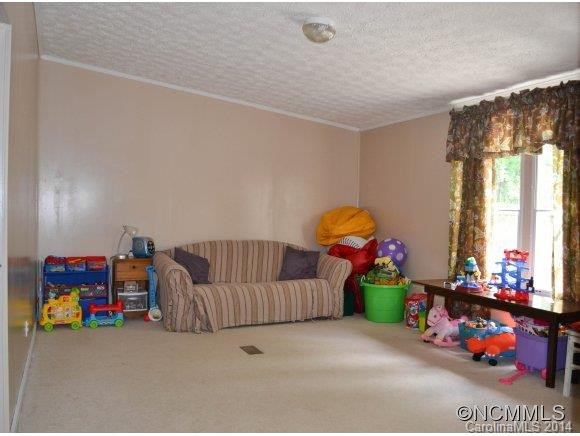 181 Cane Creek Road - Photo 8