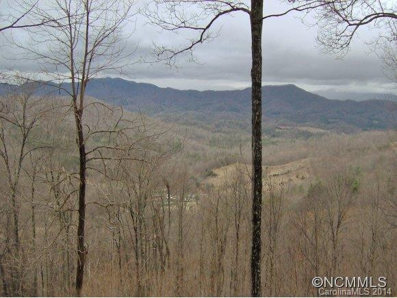 909 Ayers Mountain Road - Photo 21