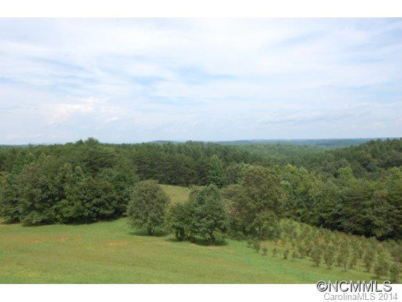 376 Herbert Page Road - Photo 11